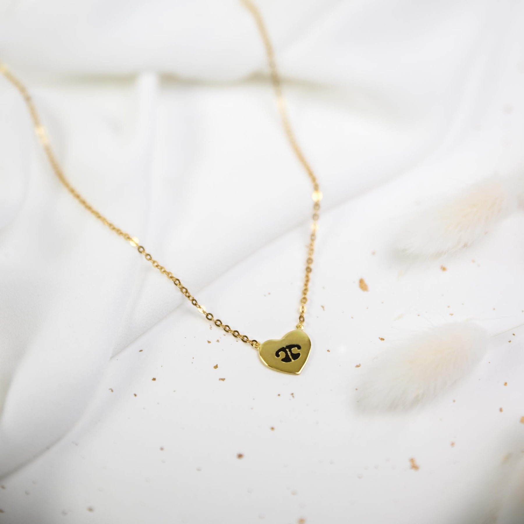 Double-Sided Custom Paw Fixed Heart Necklace