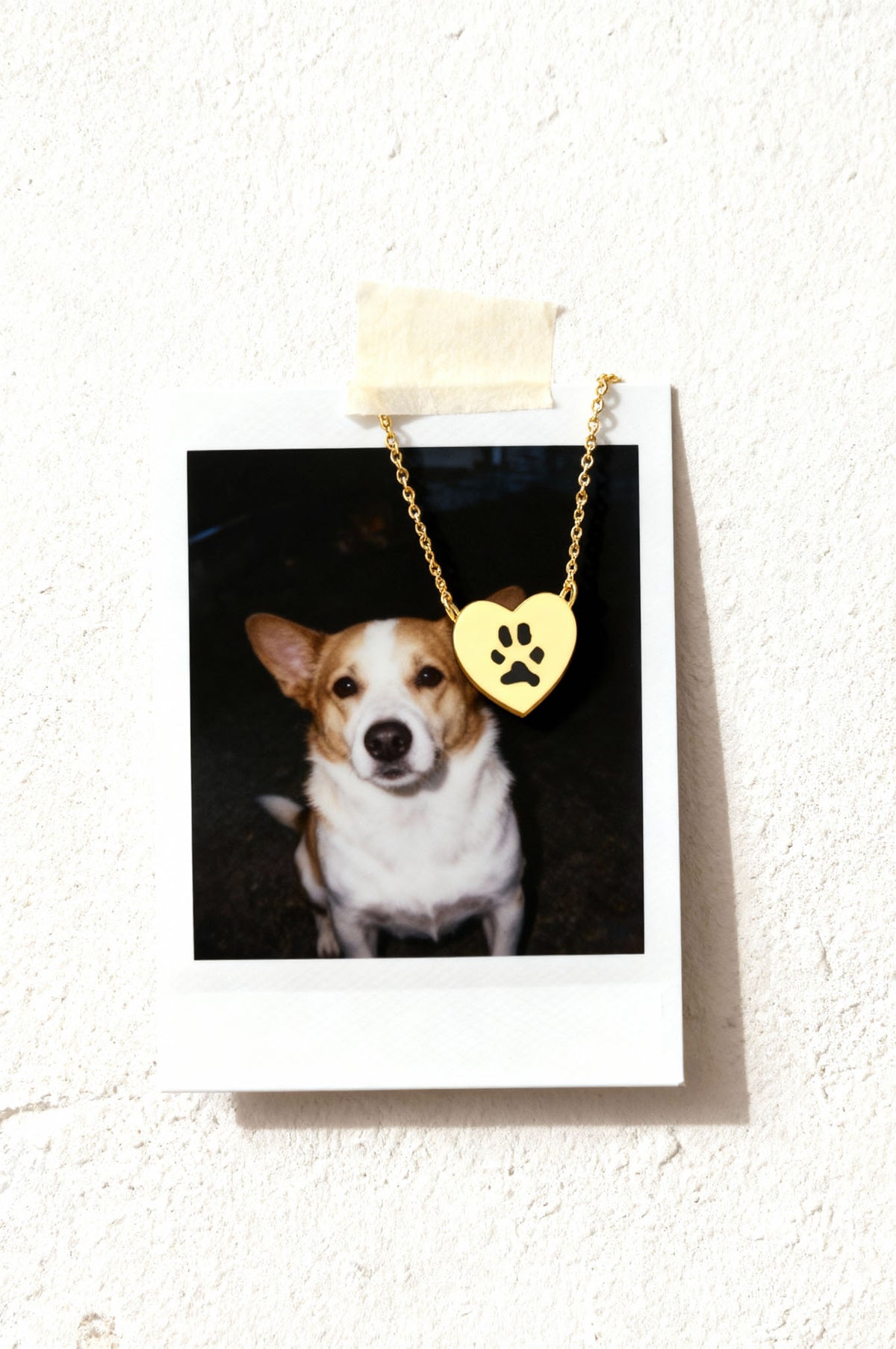 Double-Sided Custom Paw Fixed Heart Necklace