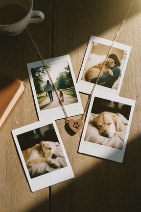 Double-Sided Custom Paw Fixed Heart Necklace